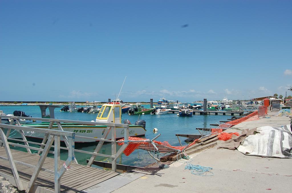 Iguana Studio Vue Mer Avec Cuve Saint-Francois  Exterior foto